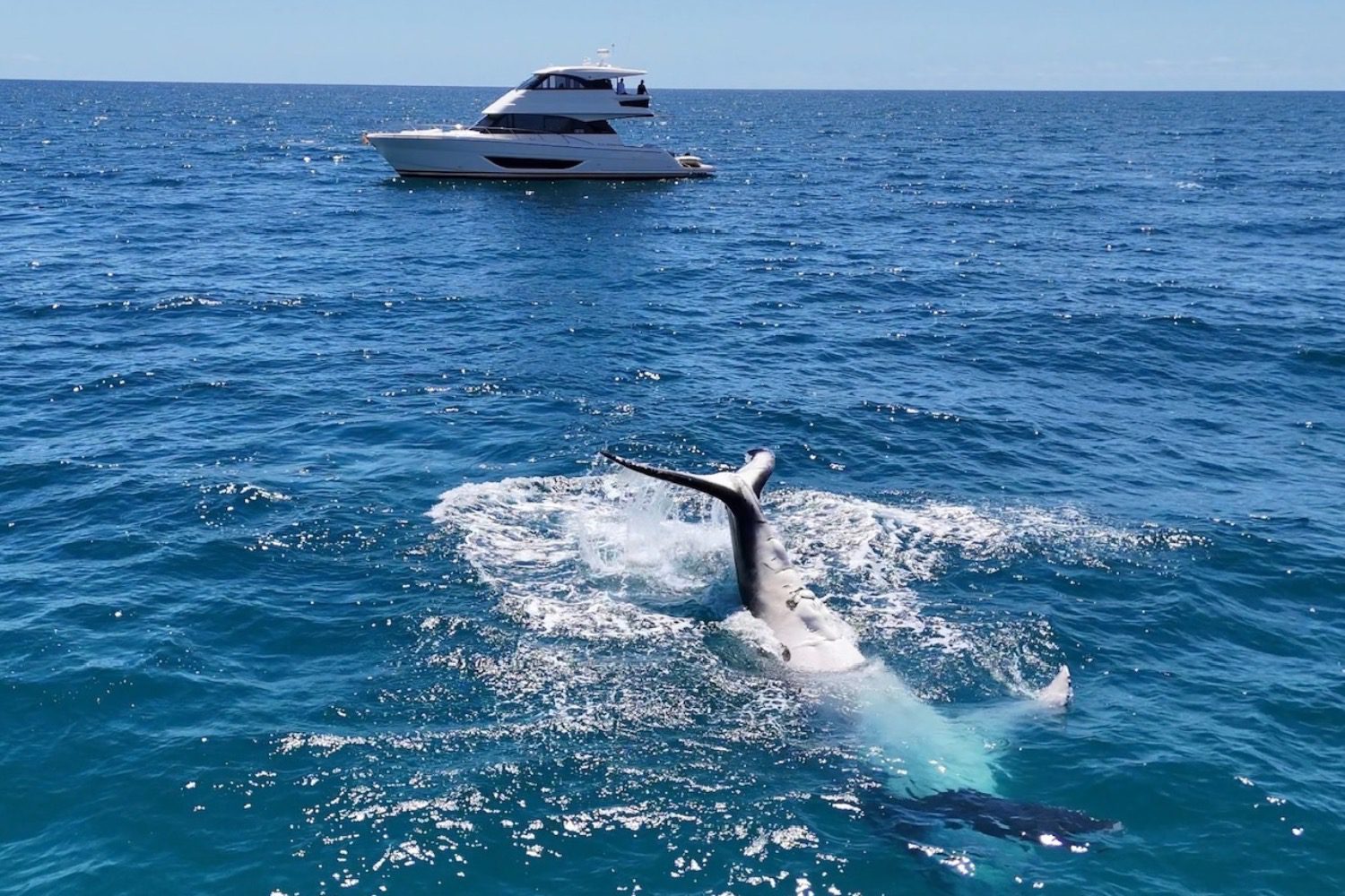 Maritimo Owner’s Australian Cruising Experience -
